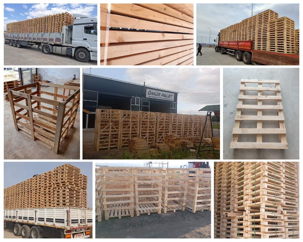 Adria Palette Europe, Acheter des palettes en gros